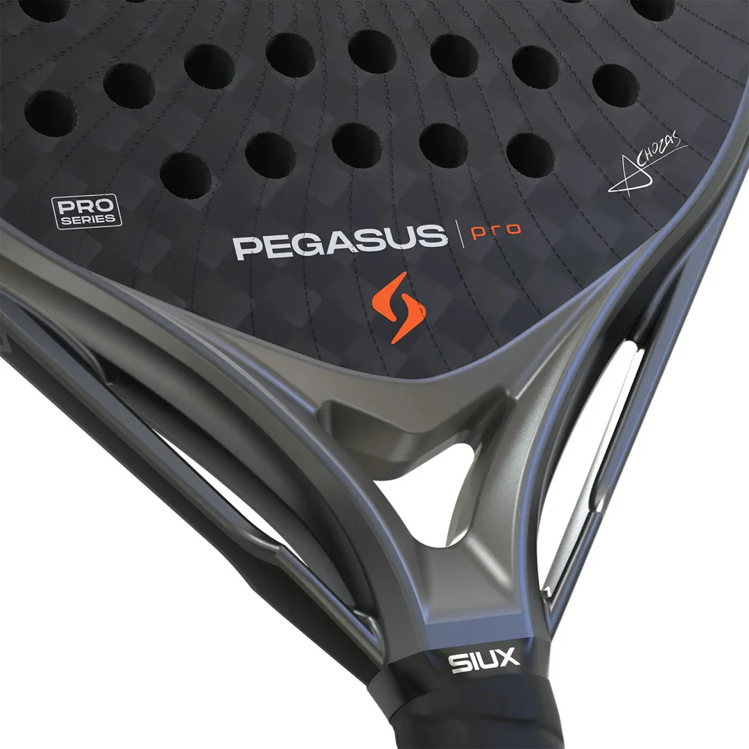 SIUX PEGASUS STORM PRO 2026 2 SIUX PEGASUS STORM PRO 2026