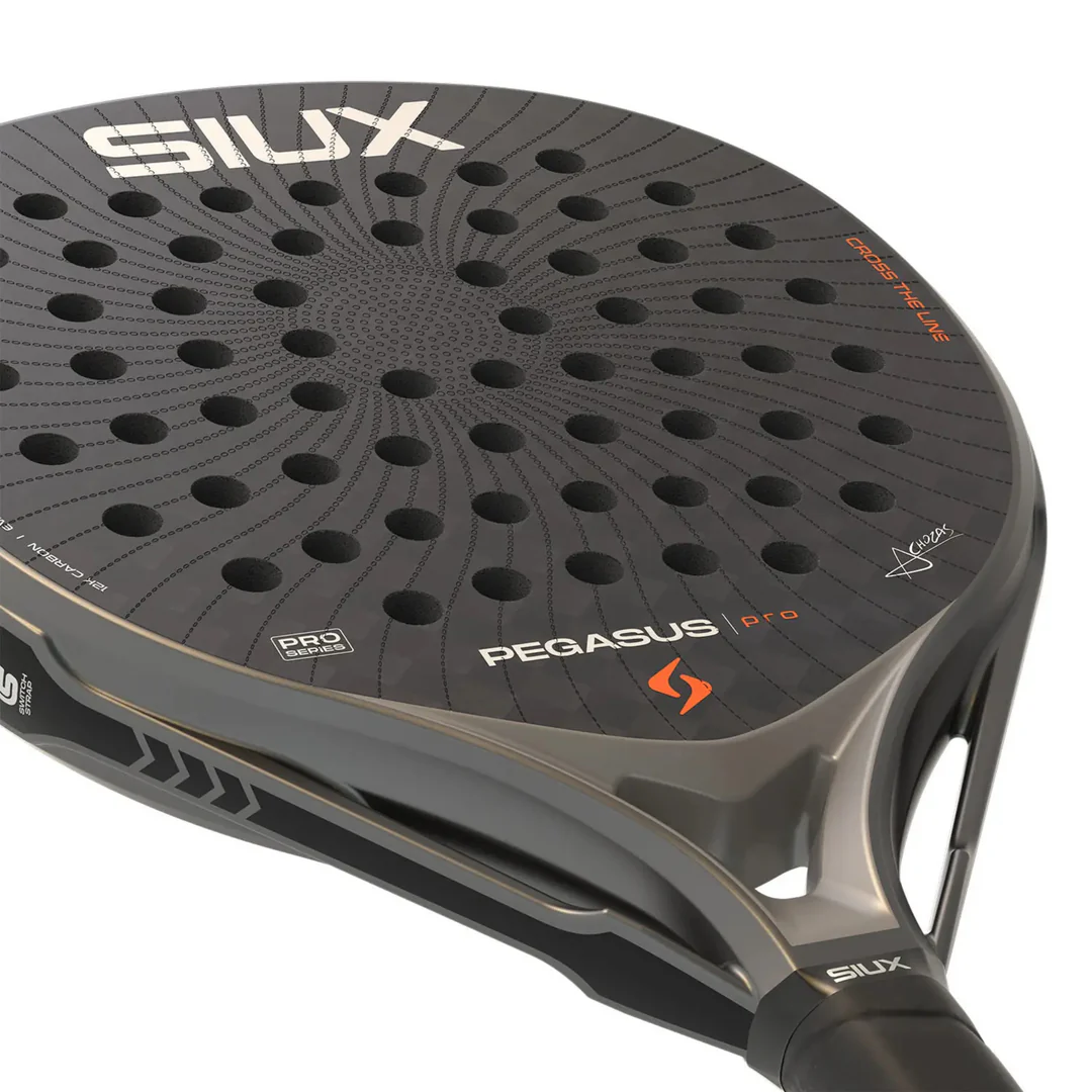 SIUX PEGASUS STORM PRO 2026 7 SIUX PEGASUS STORM PRO 2026