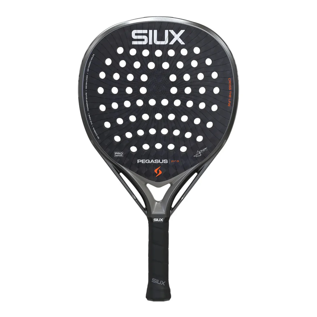 SIUX PEGASUS STORM PRO 2026 1 SIUX PEGASUS STORM PRO 2026